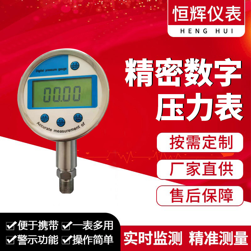 精密數字壓力表